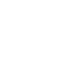 [-Griffin-]