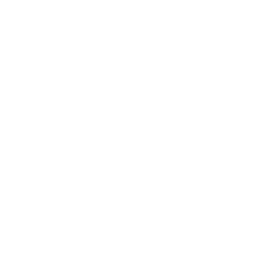 Olinek