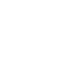 -Spyke