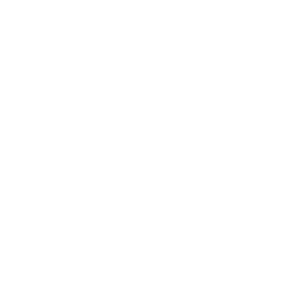 Beef Wellington